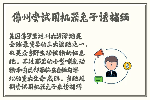 两个人的免费视频